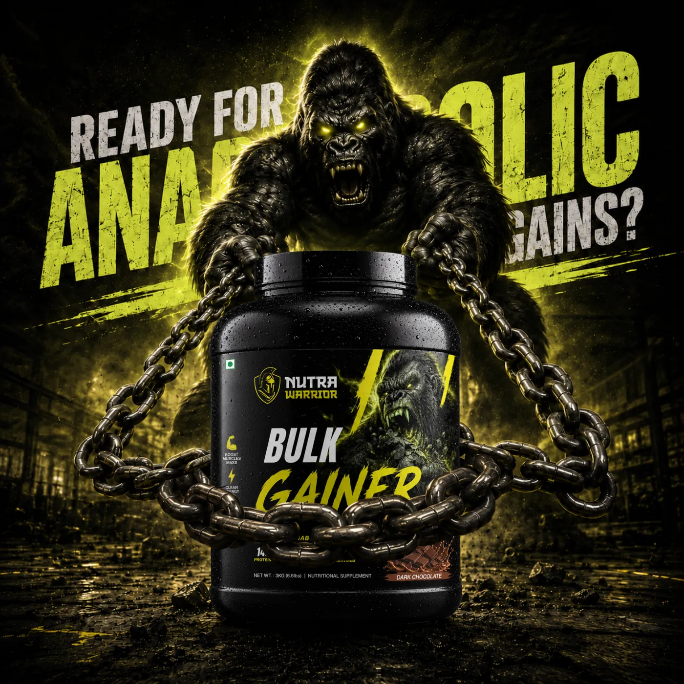 Pro Gainer