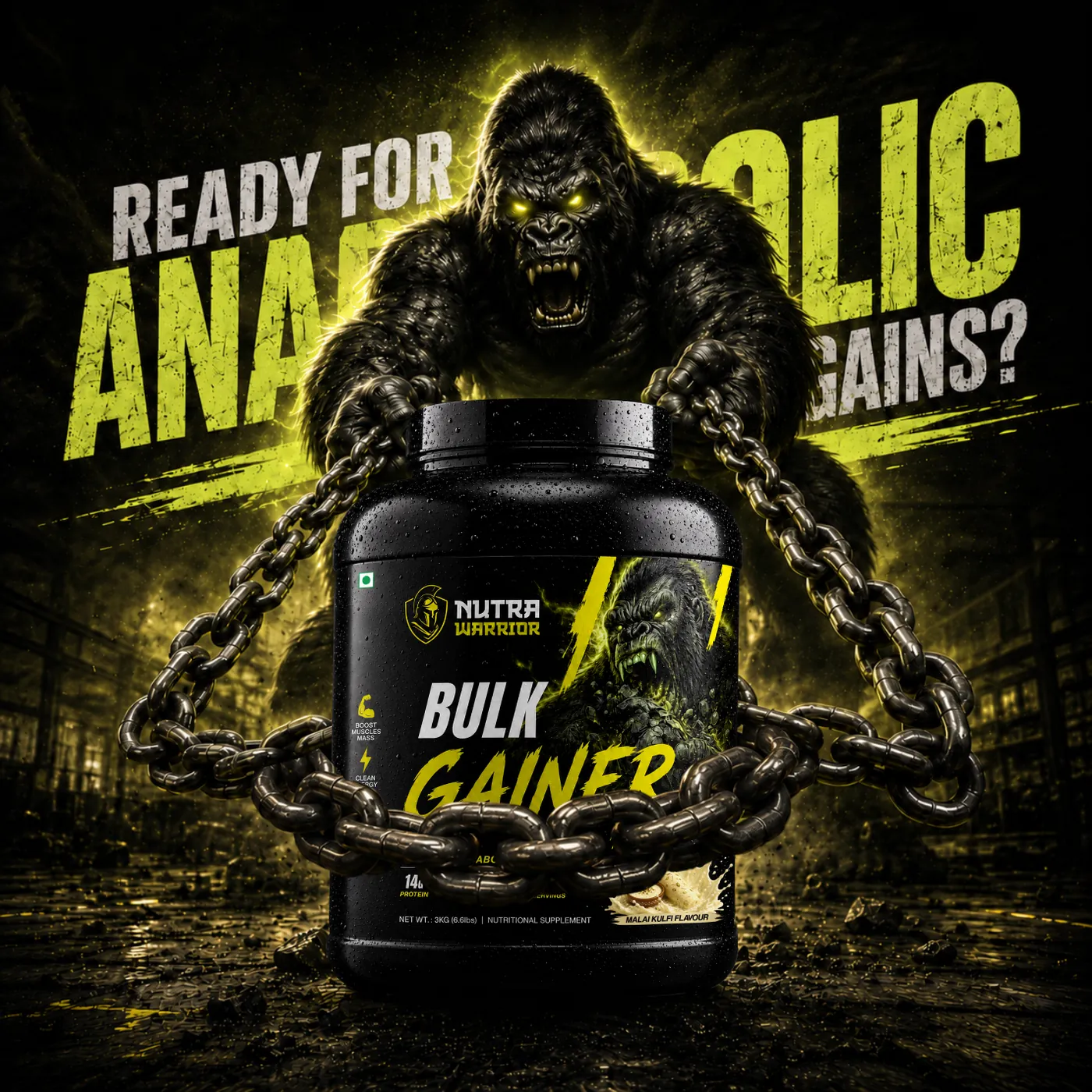 Pro Gainer