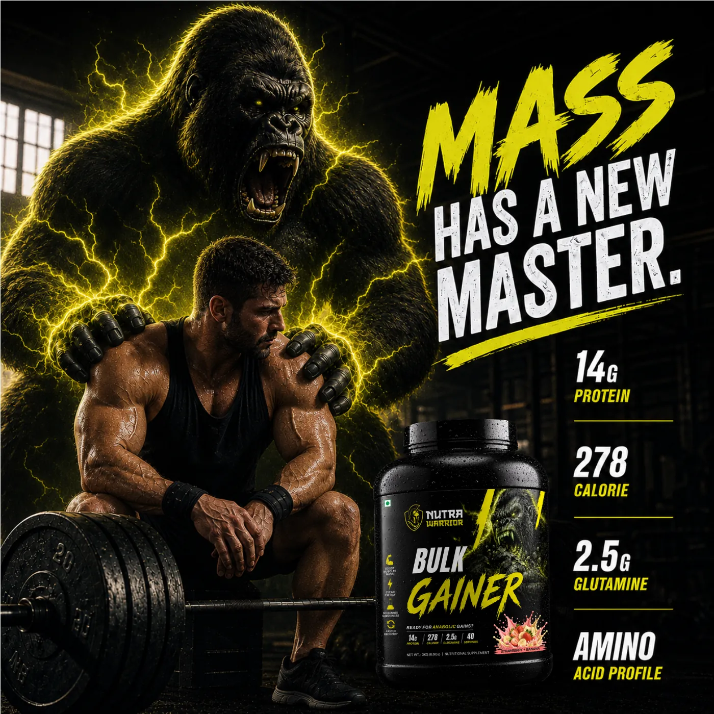 Pro Gainer