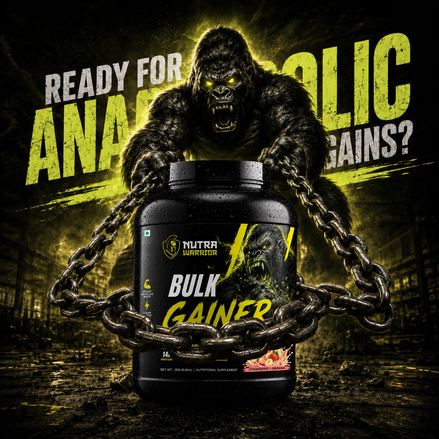 Pro Gainer