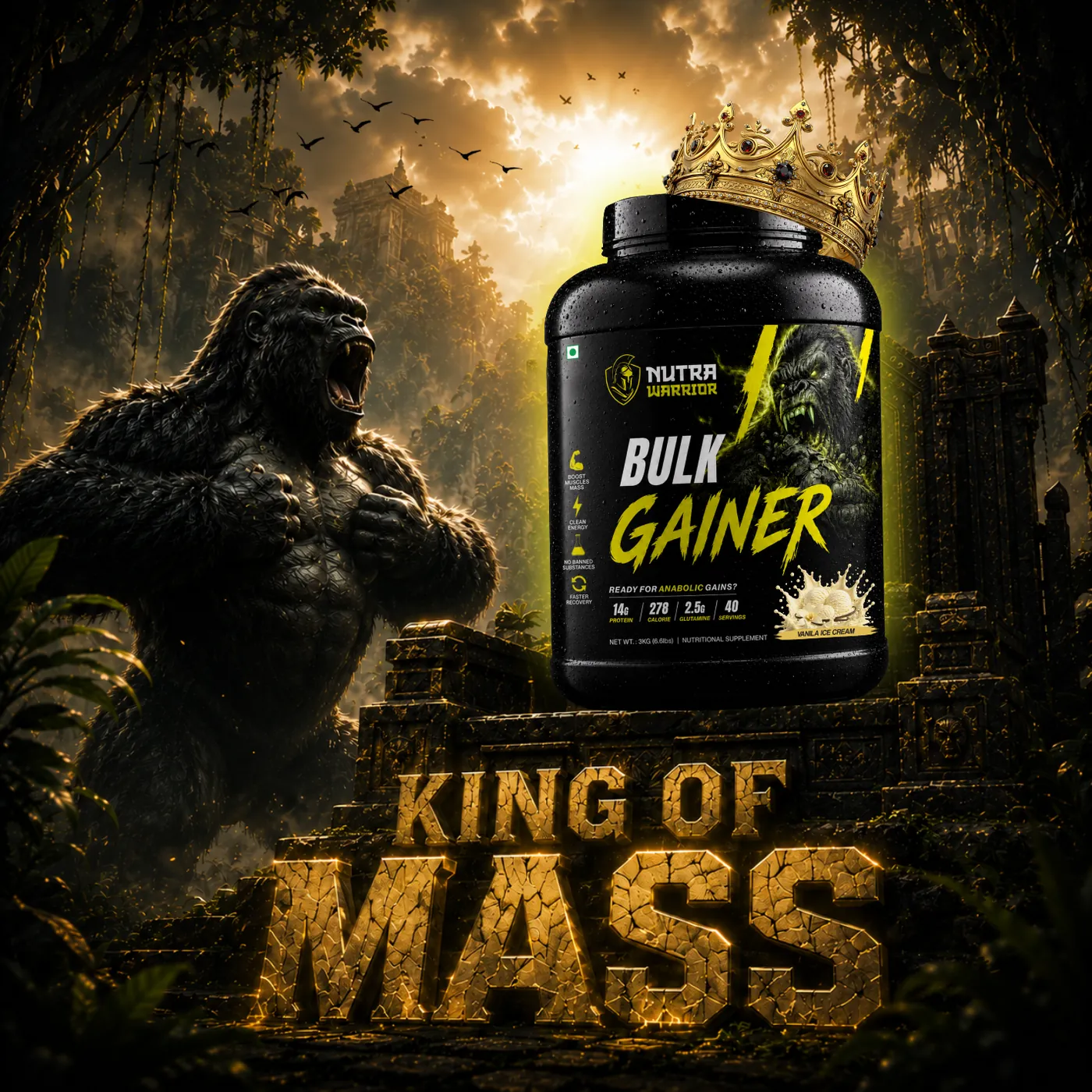 Pro Gainer
