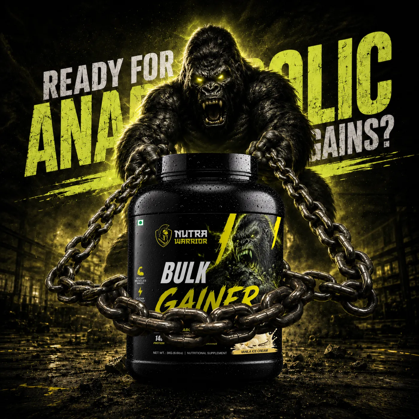 Pro Gainer